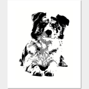 Border Collie Posters and Art